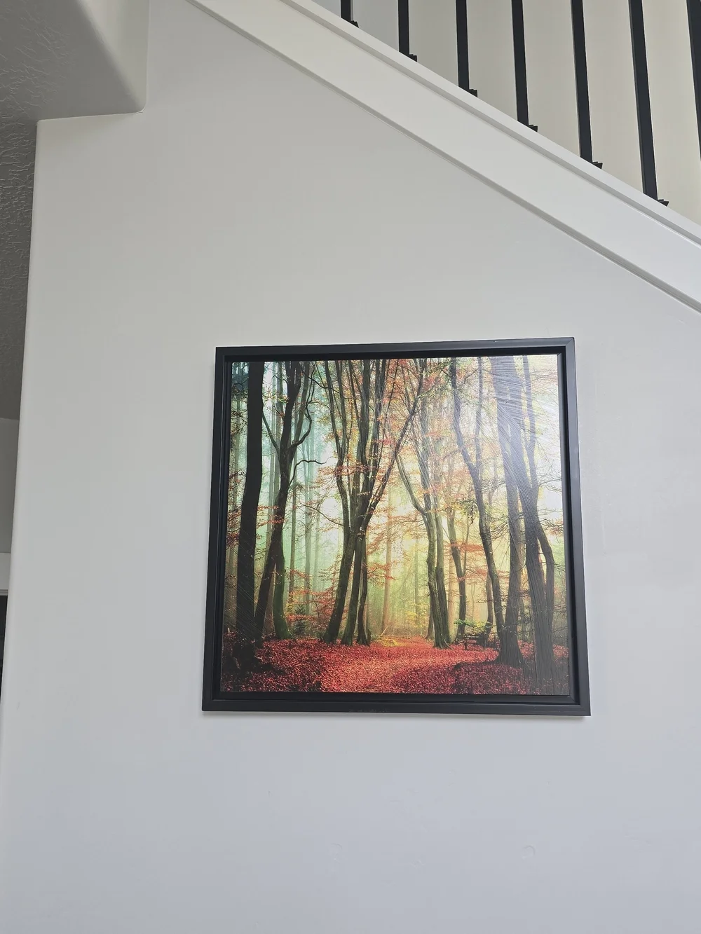 Framed Autumn Forest Wall Art Print - Red & Green